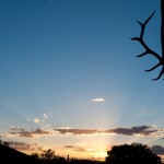 Antlers at sunsetR Antlers at sunsetR